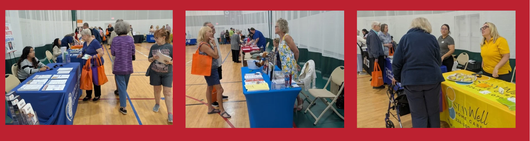 Carptentersvillle Senior Fair collage