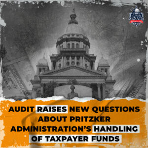 IEMA Audit graphic